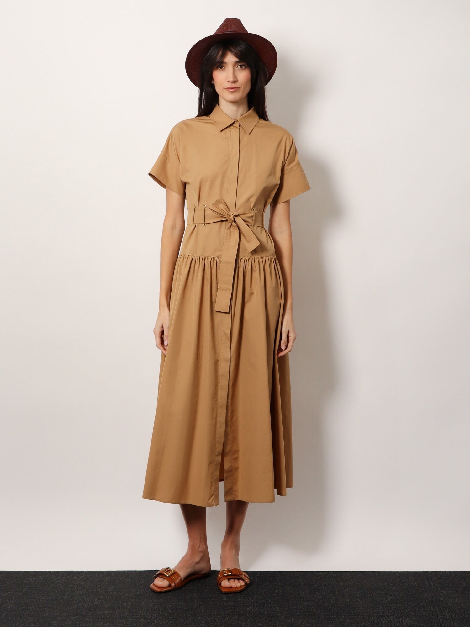Agoraio cotton chemisier dress | Max Mara | Basement 88